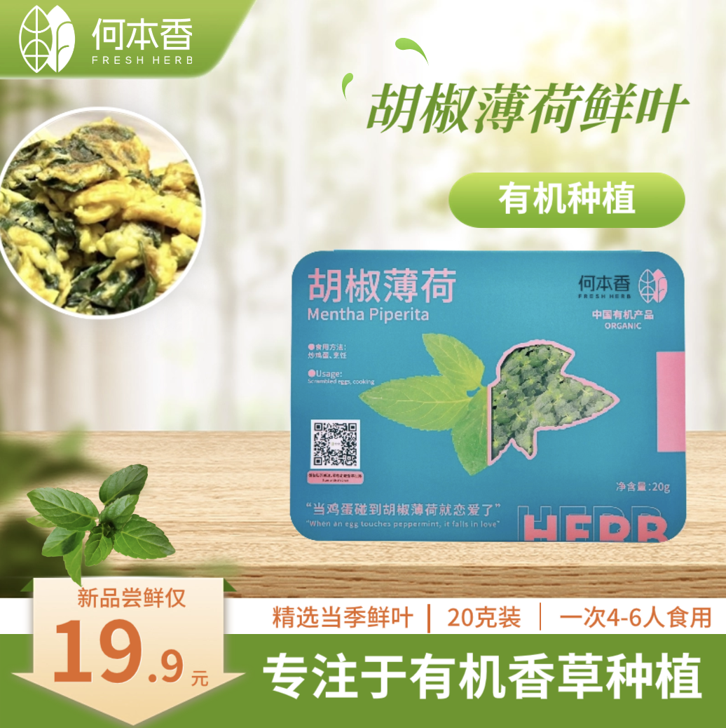 食用胡椒薄荷鲜叶