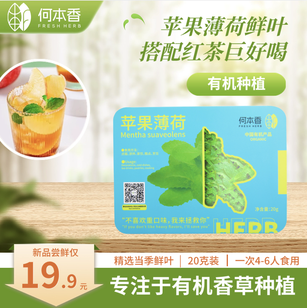 食用苹果薄荷鲜叶
